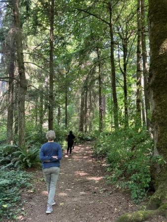 Three people walking down a forested trail. 