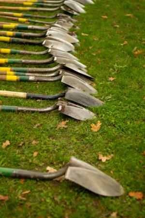 A group of shovel layed on in a line on a grass patch