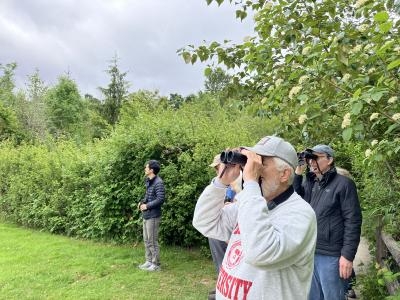 Four people standing by a field using binoculars.