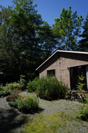 A small house with different groups of plants arranged in front of it.