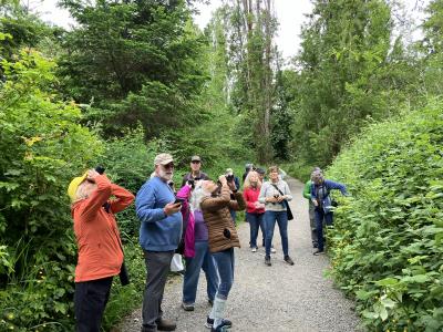 People standing on a trail, using binoculars to look up at the sky.