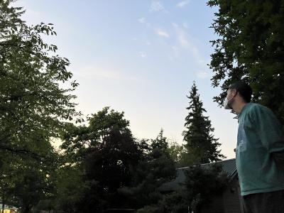 A masked man looking up at the sky surrounded by trees.