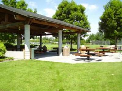 Aubrey Davis Park Picnic Area