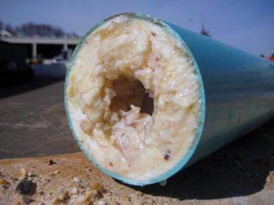 Grease Clog in Sewer Pipe