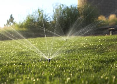 Image of a sprinkler irrigating a green lawn