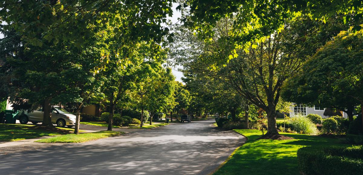 Mercer Island Neighborhood