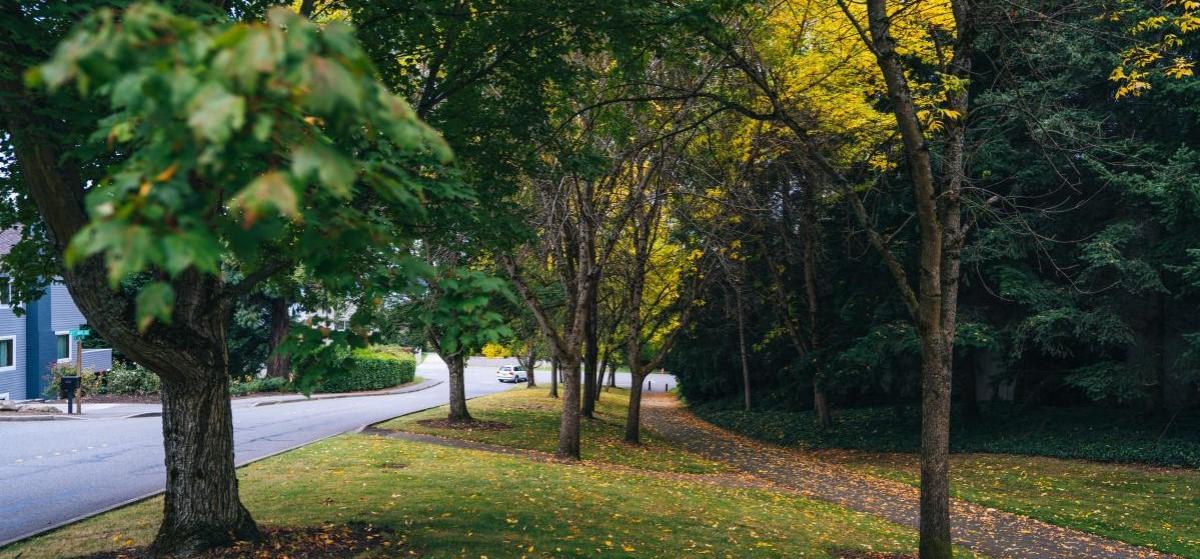 Mercer Island Neighborhood