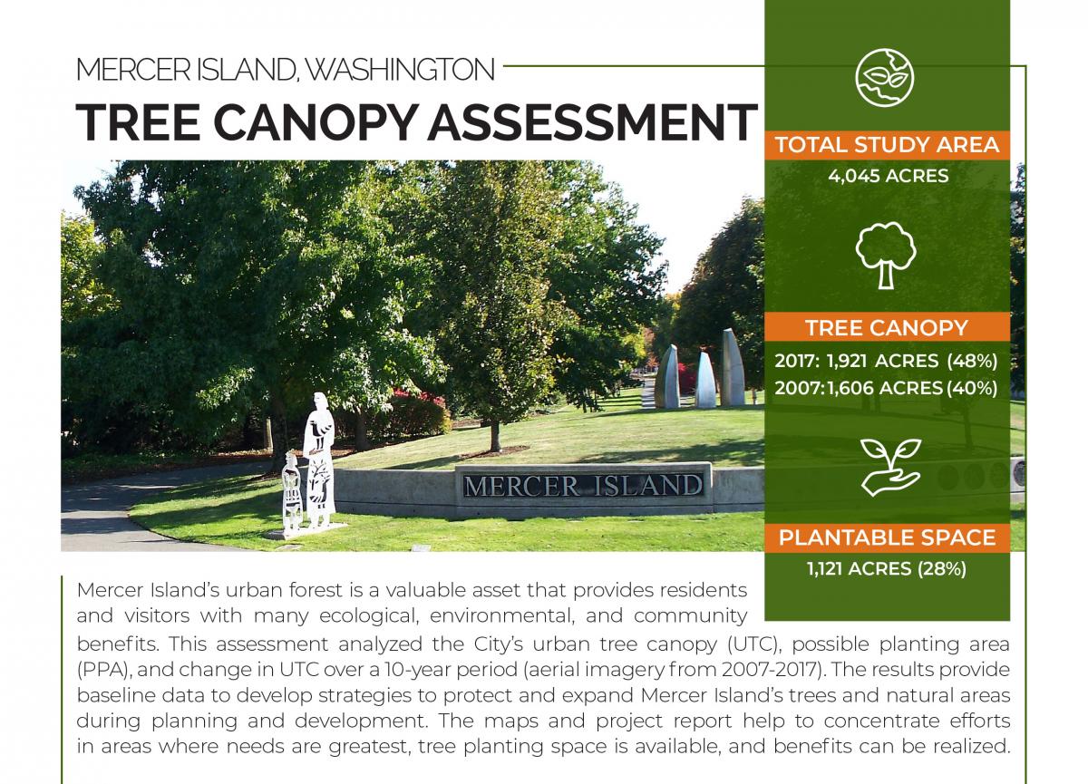 A study fact sheet that includes a photo of an urban park with public art and graphics with tree canopy assessment data