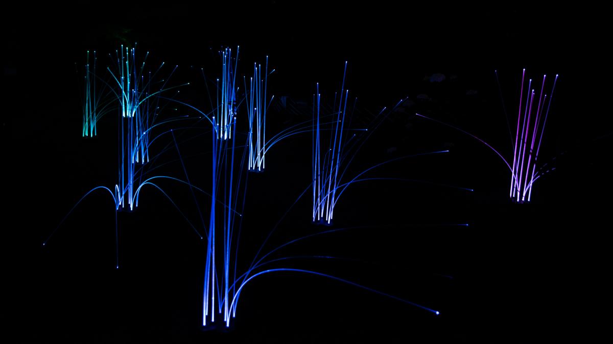 A field of fiber-optic grass lights glows blue against a dark night backdrop