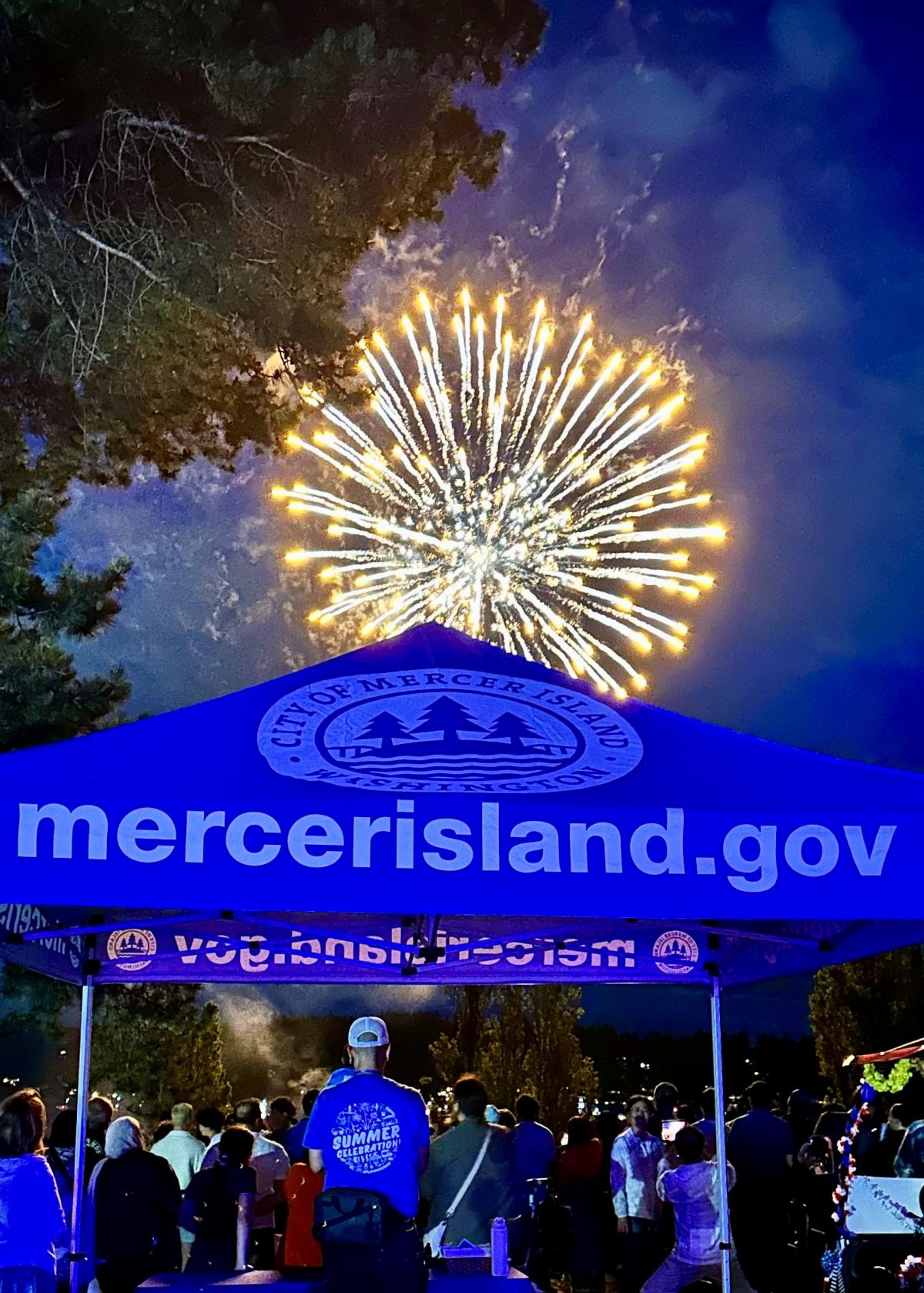 Fireworks at Luther Burbank Park