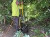 CCTV- lowering crawler camera into catch basin