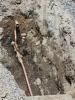 New water service lead