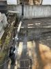 Existing membrane condition and adhesive uncovered during demo.