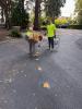 Raised pavement markers.